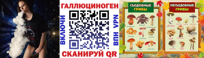 Псилоцибиновые грибы Magic Shrooms  Алагир 