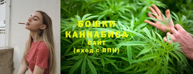 Бошки Шишки Ganja  продажа наркотиков  Алагир 